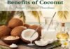 Discover the Health Benefits of Coconut Benefits of Coconut