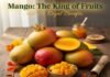The Science Backed Benefits of Mango Science Backed Benefits of Mango
